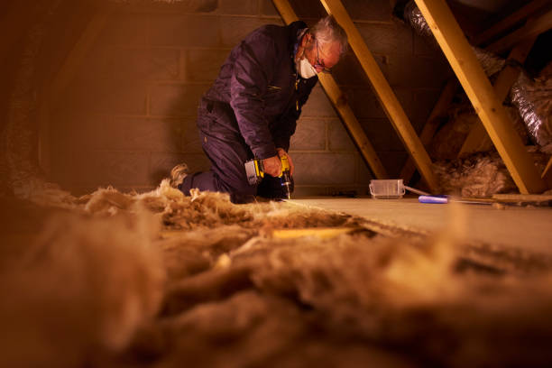 Best DIY Insulation Kits and Guidance in Urbana, IL